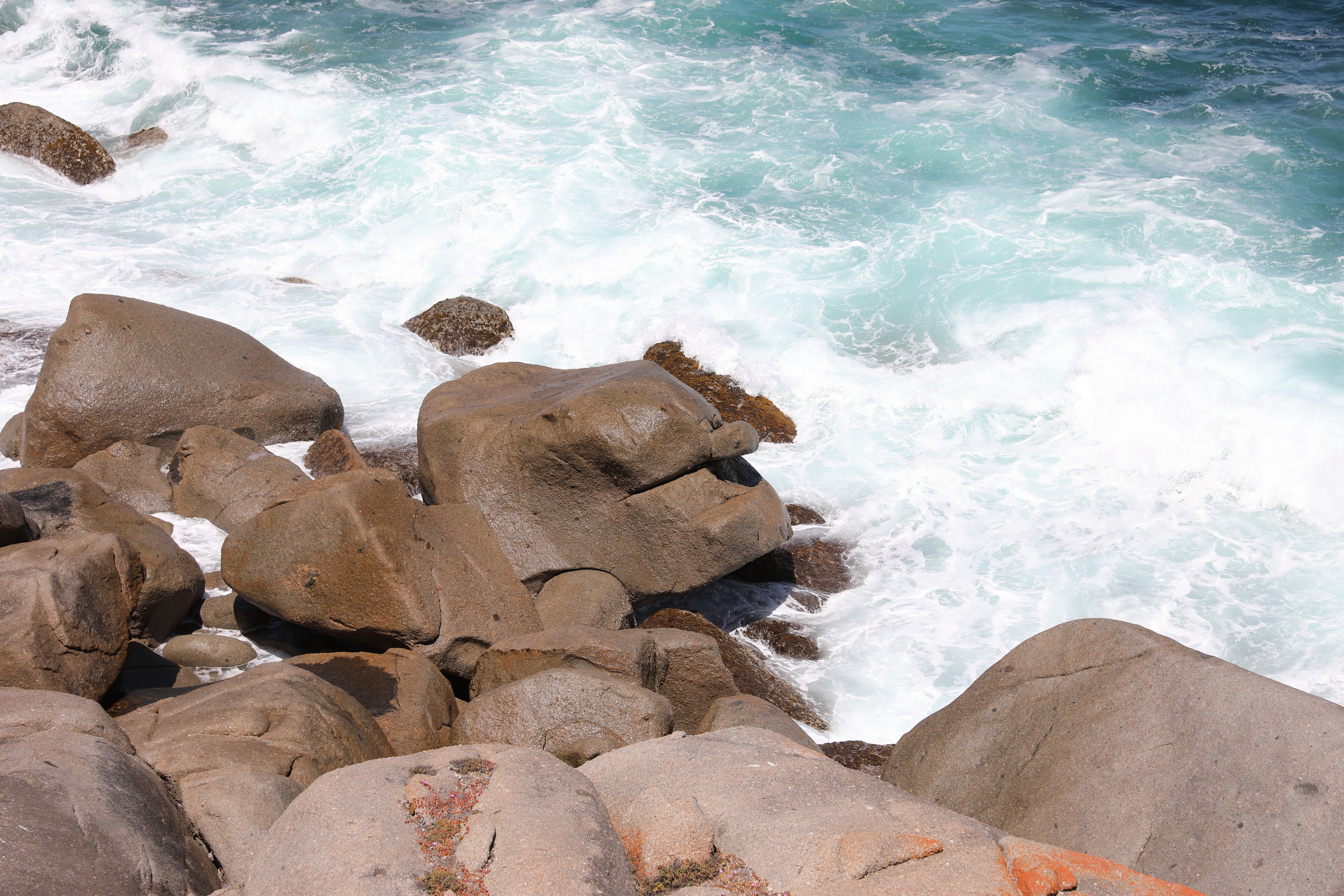 2019 11 24 14 03 14 Canon EOS 5D Mark IV 0017